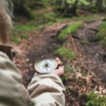 Broadleaf Impact Management